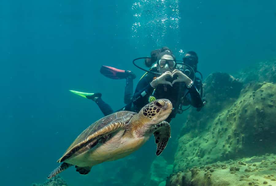Paraty: Discovery Scuba Diving Experience for Beginners - Key Points Before You Book