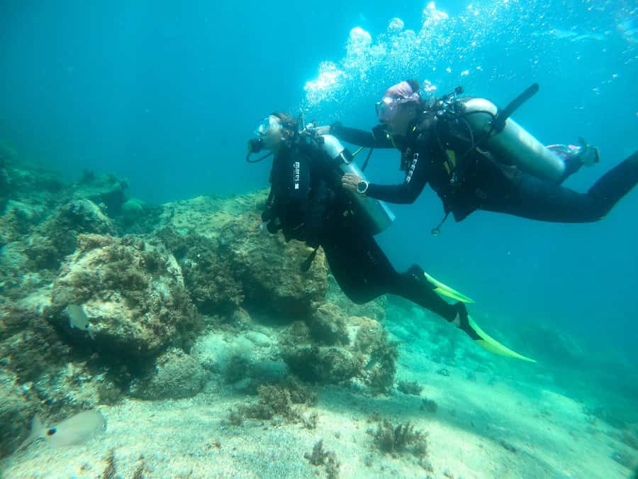 Paraty: Discovery Scuba Diving Experience for Beginners - Who Will Enjoy This Experience Most?