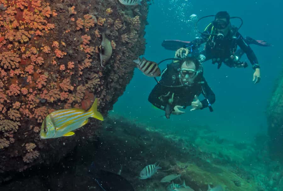 Paraty: Discovery Scuba Diving Experience for Beginners - One Person at a Time Means Waiting