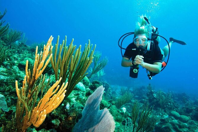 Pattaya PADI Beginner Scuba Diving One Try Dive Depth 6 Meters and Snorkeling ) - What the 6-meter reef visit offers