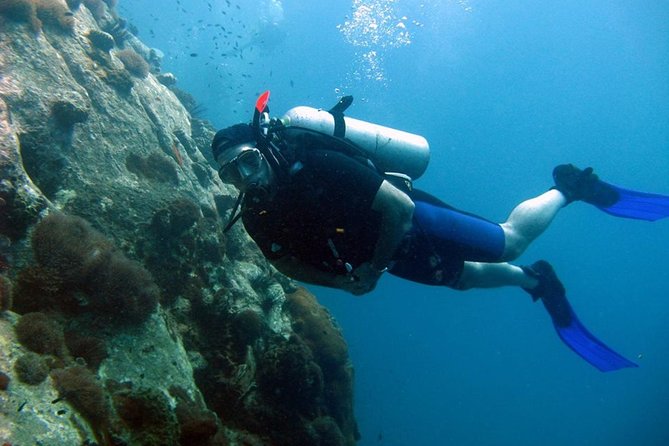 Pattaya PADI Scuba Diving Two Exciting Try Dives with PADI Instructor in Pattaya - Hotel pickup makes the early start easier