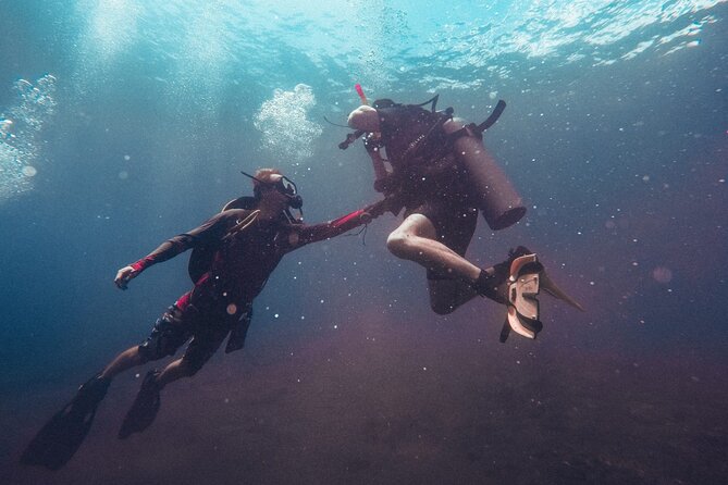 Pattaya PADI Scuba Diving Two Exciting Try Dives with PADI Instructor in Pattaya - The first 40-minute reef session