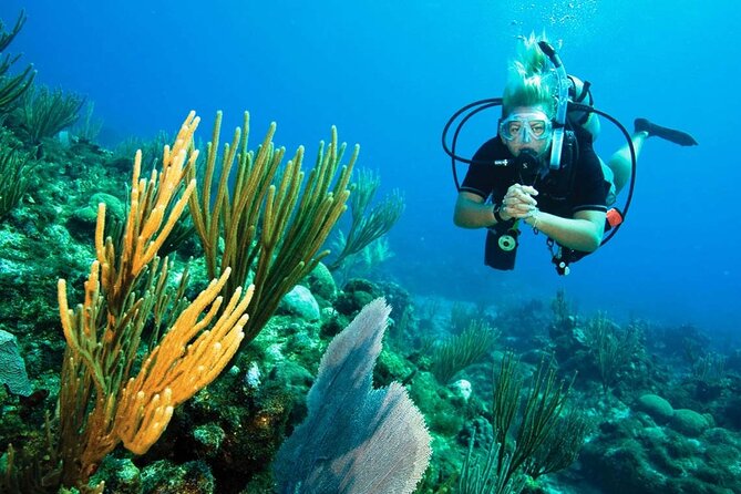Pattaya PADI Scuba Diving Two Exciting Try Dives with PADI Instructor in Pattaya - Lunch breaks up the day