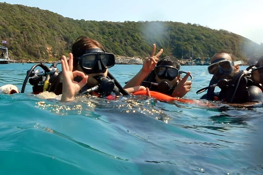 Pattaya: Snorkeling or Beginner Scuba Diving Tour with lunch - Key points to know before booking