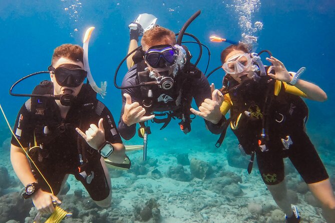 Personalized Discover Scuba Dive Experience in Curaçao - Key Details Before You Book