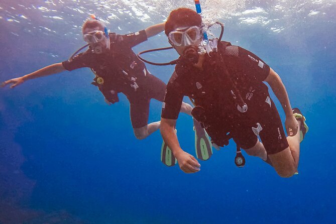 Personalized Discover Scuba Dive Experience in Curaçao - What Makes the Small Group Format Worth $125