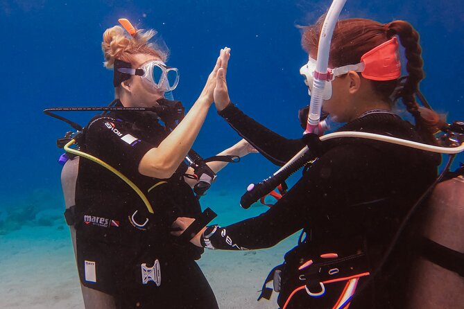 Personalized Discover Scuba Dive Experience in Curaçao - The Guides Make the Difference