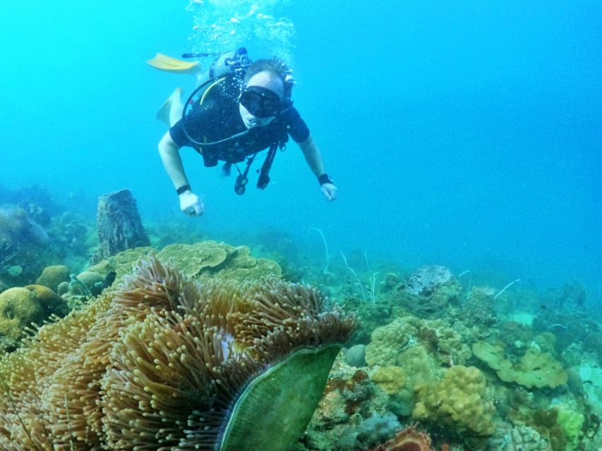 Phu Quoc: Scuba Diving Experience for All Levels - Who should book this Phu Quoc experience?