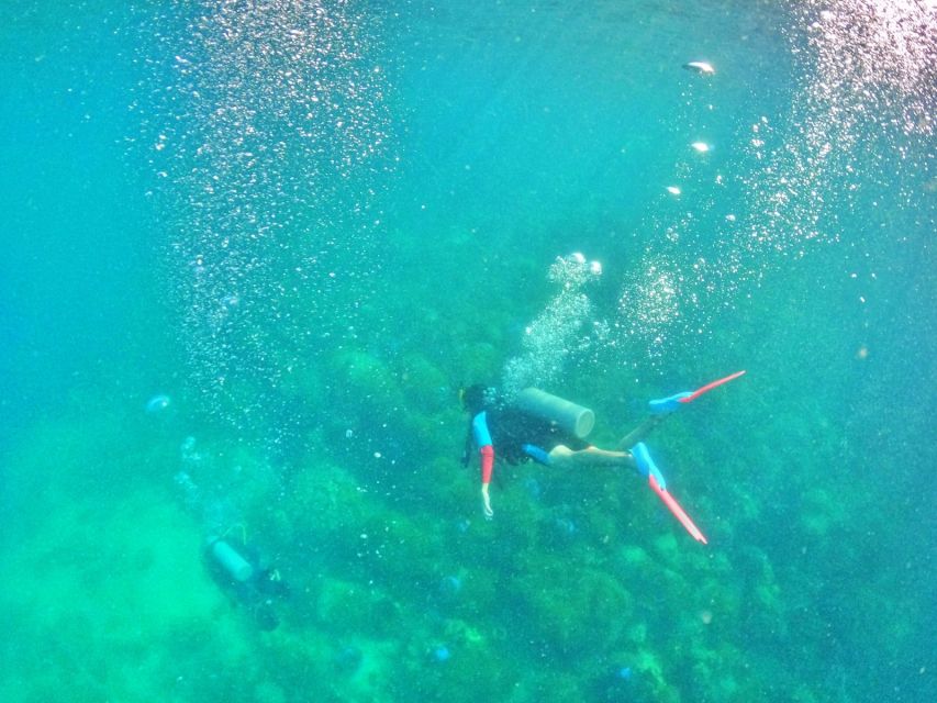 Phu Quoc: Scuba Diving Experience for All Levels - Why this Phu Quoc outing works for beginners
