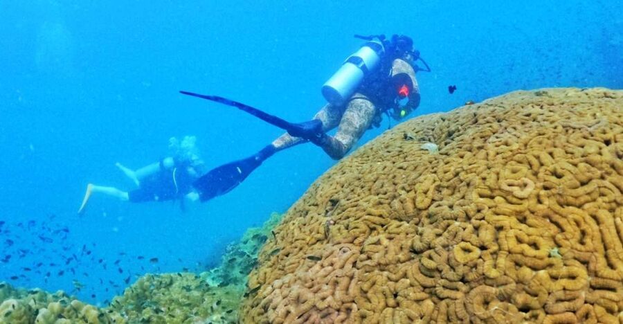 Phu Quoc: Scuba Diving Experience for All Levels - The morning schedule, from hotel pickup to the first descent