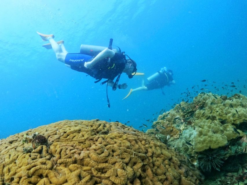 Phu Quoc: Scuba Diving Experience for All Levels - What the $102 price includes