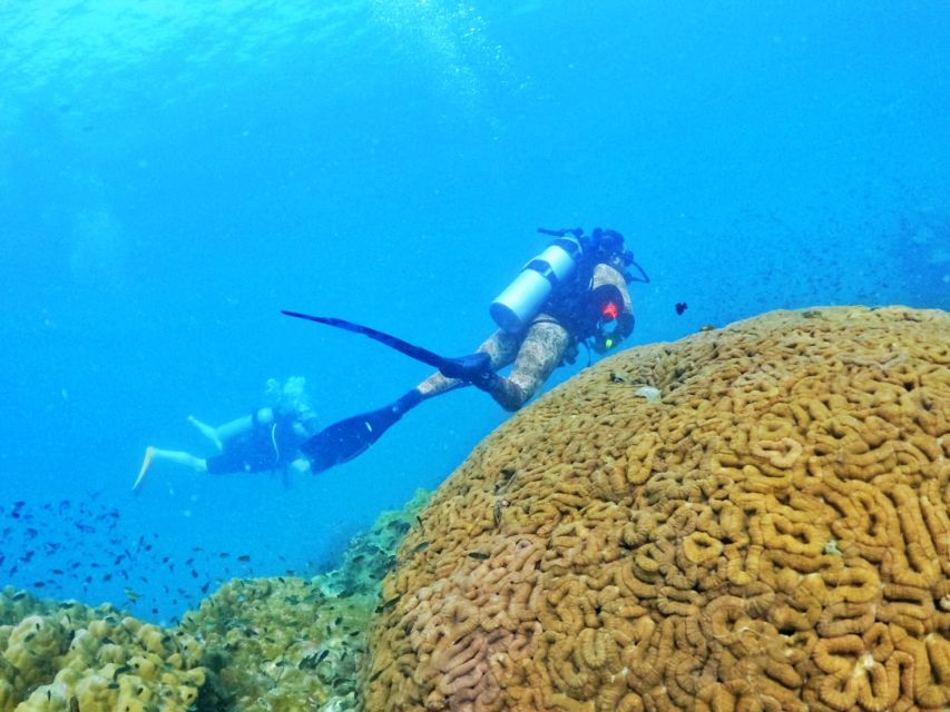 Phu Quoc: Scuba Diving Experience for All Levels - Equipment, comfort, and what to bring