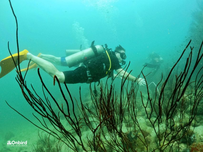 Phu Quoc: Scuba Diving Experience for All Levels - Group size, language, and the practical tradeoff