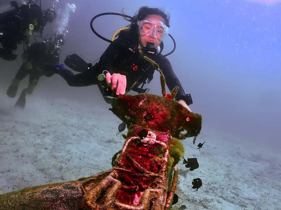 Phuket: 3 Dive Koh Phi Phi/Shark Point Scuba Diving Day Trip - The final 50-minute session at Shark Point
