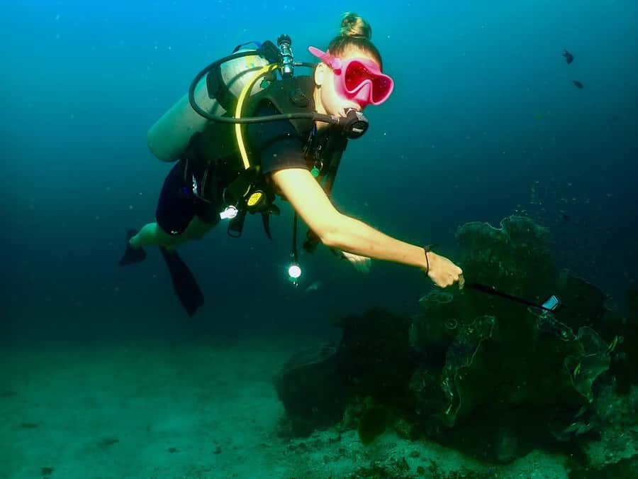 Phuket: 3 Dive Koh Phi Phi/Shark Point Scuba Diving Day Trip - What the $176 price really covers
