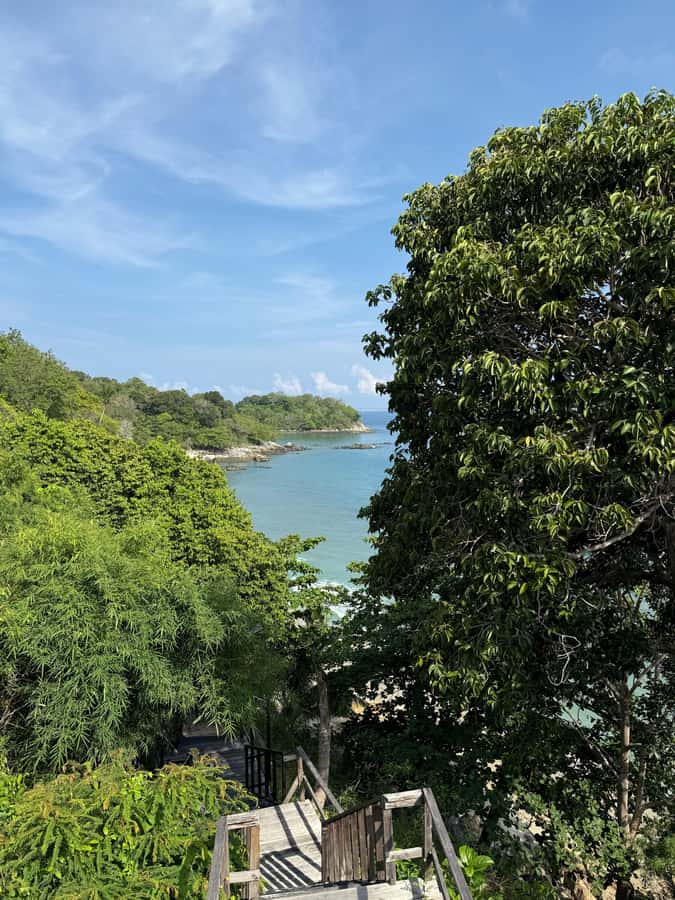 Phuket: Coral Reef Scuba Diving Experience at G Beach Club - What is included in the $95 price