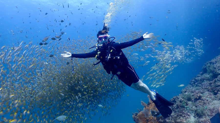 Phuket: Discover Scuba Diving to Racha Yai Island - Key points to know before booking