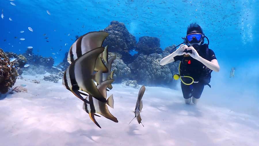 Phuket: Discover Scuba Diving to Racha Yai Island - What happens before you enter the water