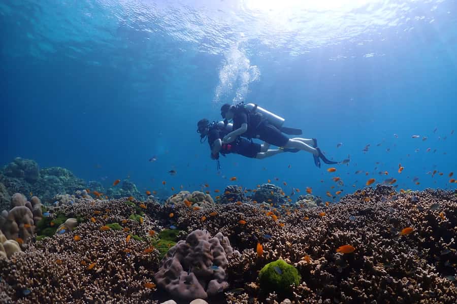 Phuket: Discover Scuba Diving to Racha Yai Island - What the $153 price really includes