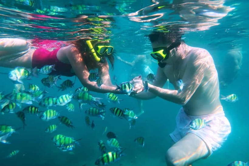 Phuket: Khai Islands Tour Or Scuba Diving Options - Service, Guides, and Group Feel