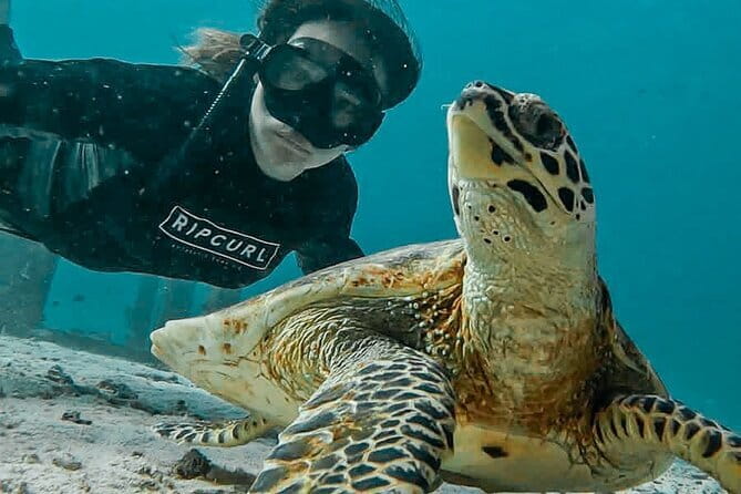 Phuket Phi phi Maya Bay Khai Island Diving Transfer & Buffet - Phi Phi Don lunch and free beach time