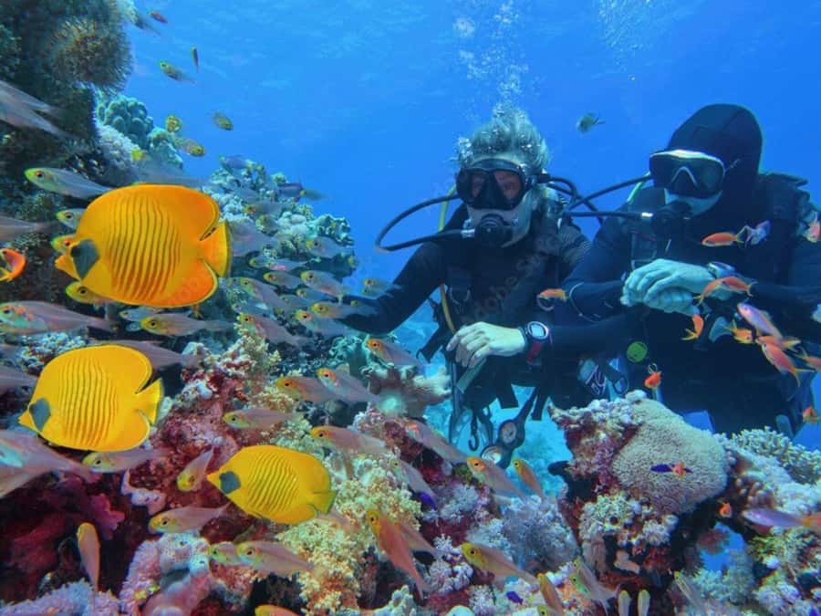 Phuket: Racha Island and Coral Islands + Scuba Beach Dive - Who will enjoy this Phuket day trip?