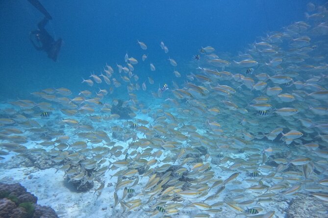 Phuket: Scuba Dive Racha and Coral Islands with Snorkeling Tour - Practical advice for making the day easier