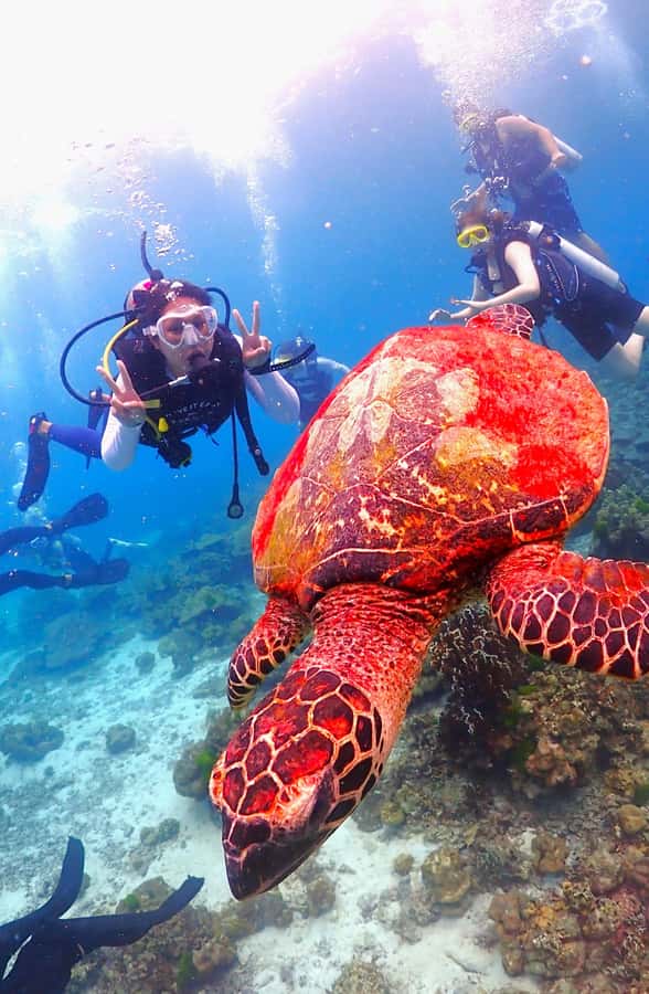 Phuket: Scuba Diving Maithon Or Racha Islands For All Levels - Who should book this Phuket scuba trip?