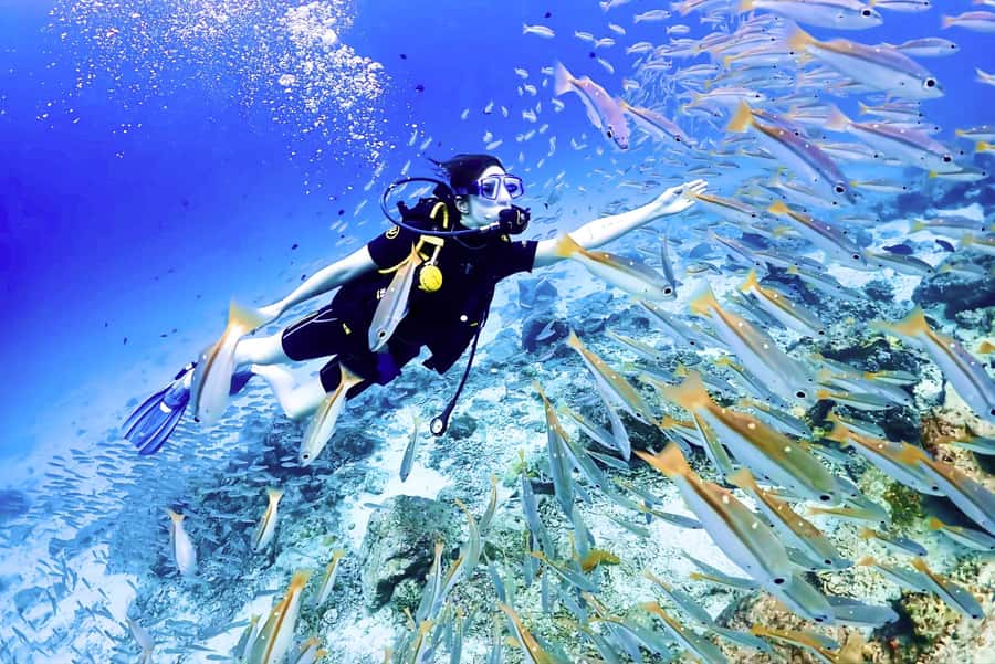 Phuket: Scuba Diving Maithon Or Racha Islands For All Levels - First-timers get patient, close instruction