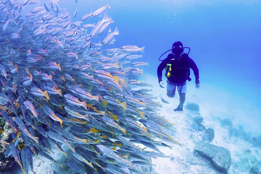 Phuket: Scuba Diving Maithon Or Racha Islands For All Levels - Maiton Island for a shorter, quieter outing