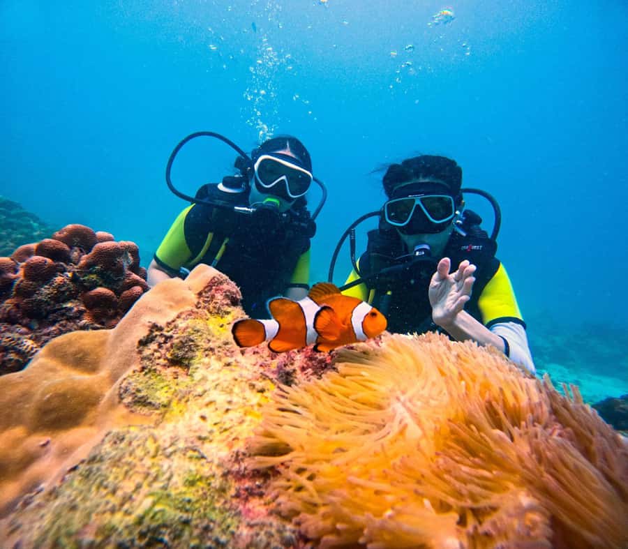 Phuket: Scuba Diving Maithon Or Racha Islands For All Levels - Price and value at $100