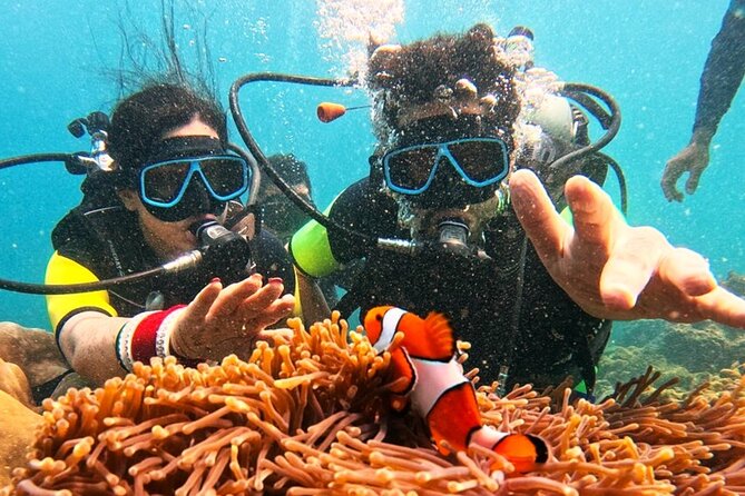 Phuket Scuba Diving: Racha Island Or Maiton Island For All Levels - Maiton Island or Racha Islands?