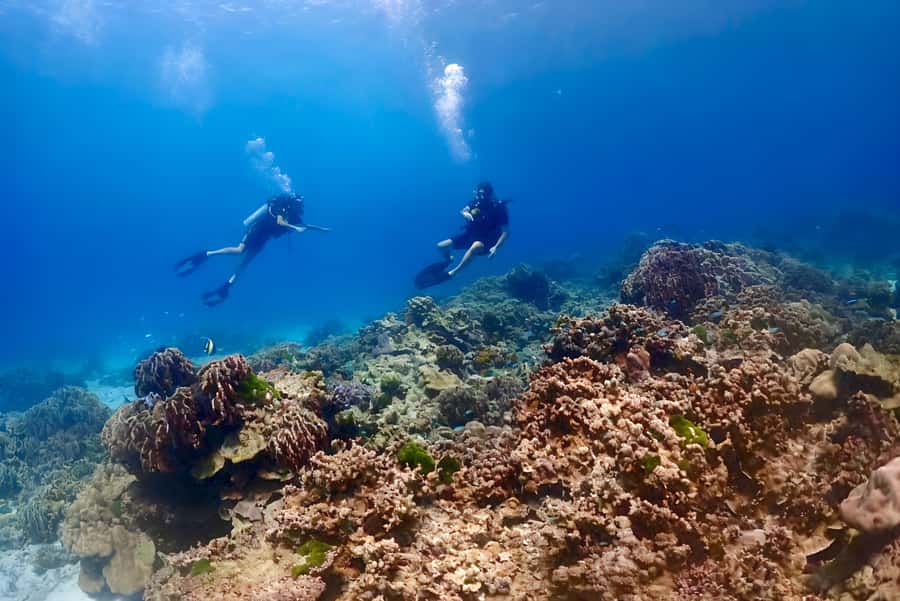 Phuket Scuba Diving Racha Islands 1-3 Dives For All Levels - Who should choose this experience?
