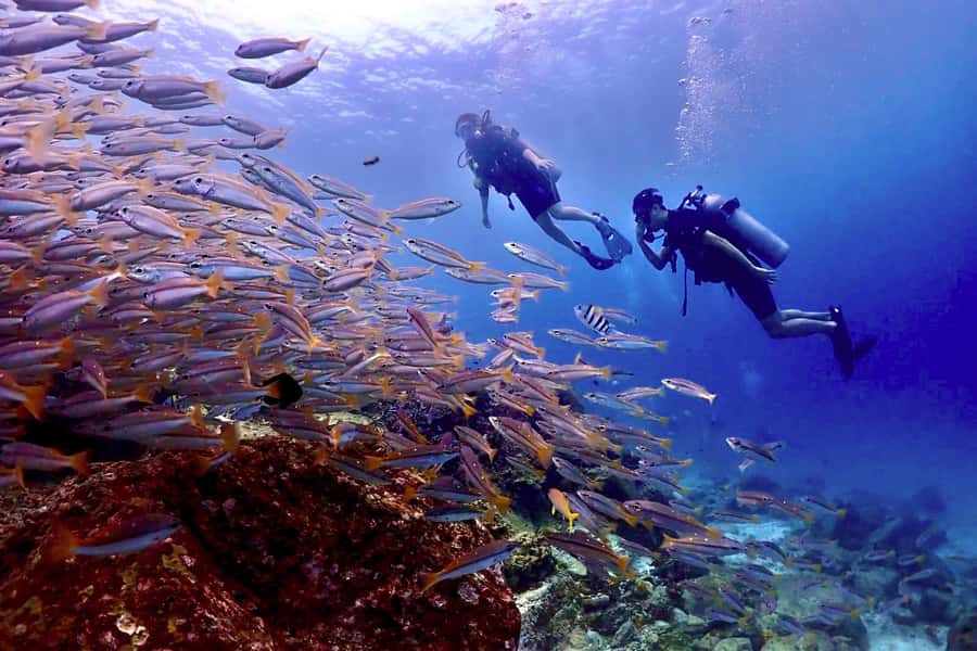 Phuket Scuba Diving Racha Islands 1-3 Dives For All Levels - What the morning transfer is really like