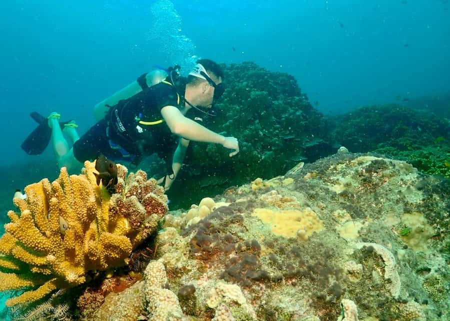 Phuket: Try SCUBA DIVING Full Day Experience 2 Dives - The no-fly rule matters
