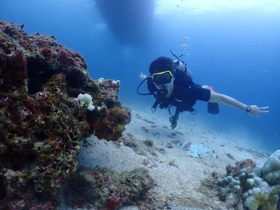 Phuket: Try SCUBA DIVING Full Day Experience 2 Dives - Starting early from Phuket’s west and south coast