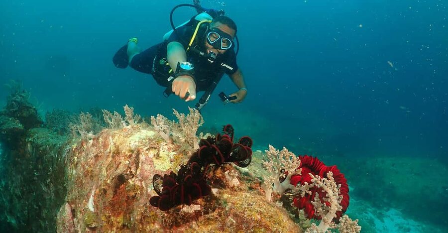 Phuket: Try SCUBA DIVING Full Day Experience 3 Dives - Key points before you book
