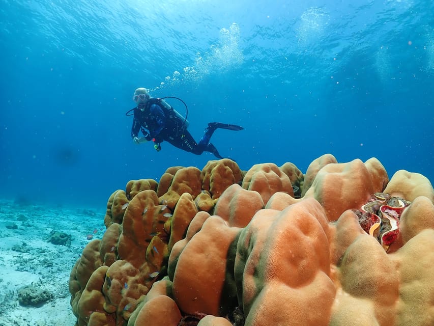 Phuket: Try SCUBA DIVING Full Day Experience 3 Dives - What the $193 price really covers