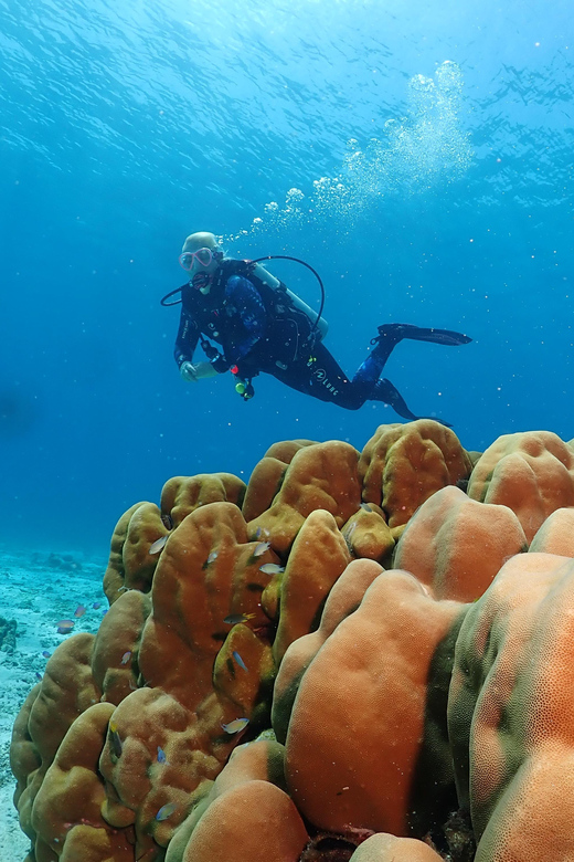 Phuket: Try SCUBA DIVING Full Day Experience 3 Dives - Safety, fitness, and age limits