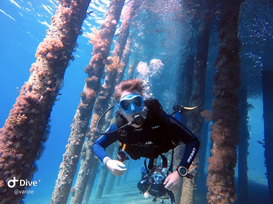 Pivate scuba diving in the Red Sea of Aqaba - What the two-hour Aqaba session is really like