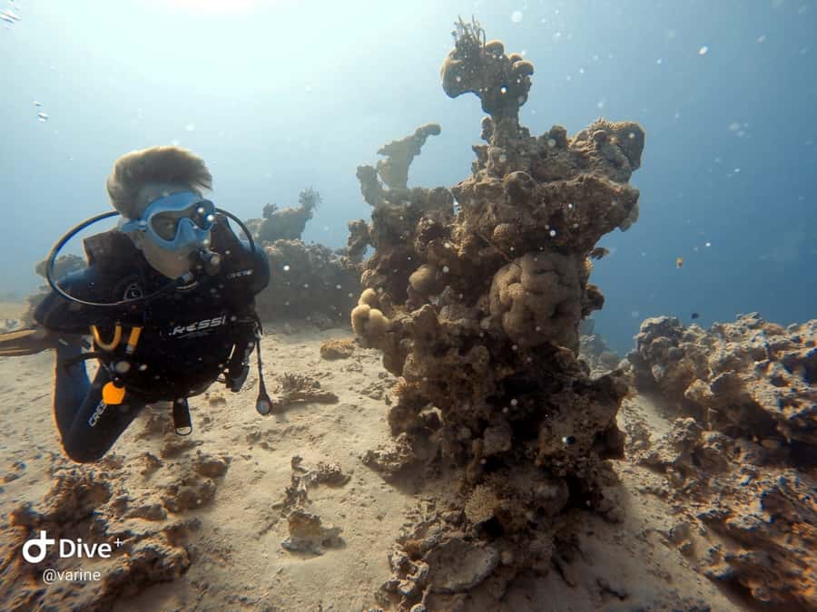 Pivate scuba diving in the Red Sea of Aqaba - Coral reefs, wrecks, and the Red Sea setting