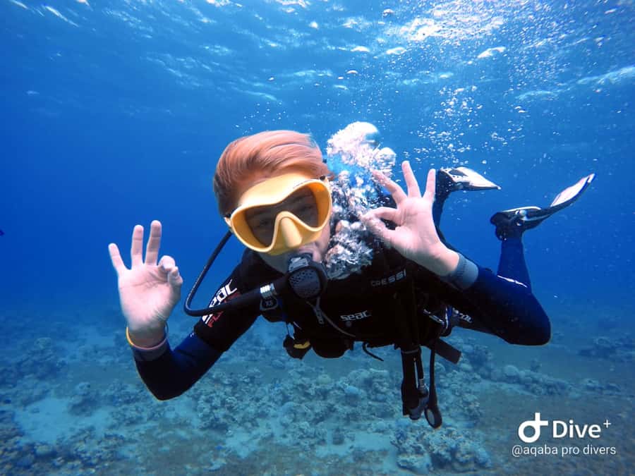 Pivate scuba diving in the Red Sea of Aqaba - The value of the private guide
