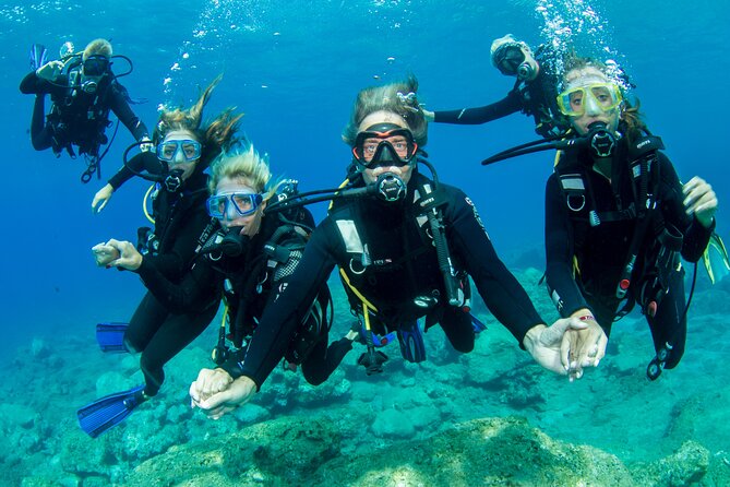 Plakias: Try Scuba Diving first time - Private, from 8 yrs. - Is $174.03 a fair price?