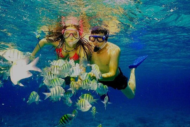 Platinum Power Shore Adventure, Hookah Diving, and Snorkeling - Snorkeling at the reef with supplied equipment