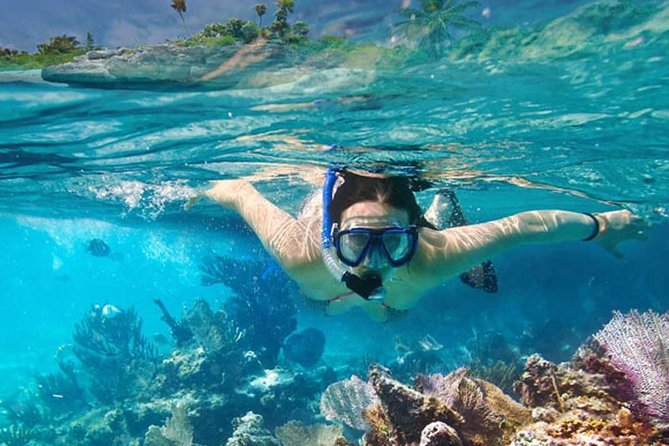Platinum Power Shore Adventure, Hookah Diving, and Snorkeling - A short parasailing segment adds a burst of height