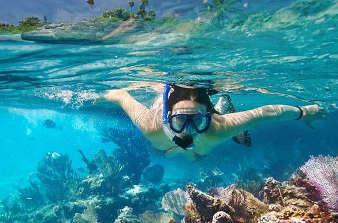 Platinum Power Shore Adventure, Hookah Diving, and Snorkeling - The natural pool party is the social centerpiece