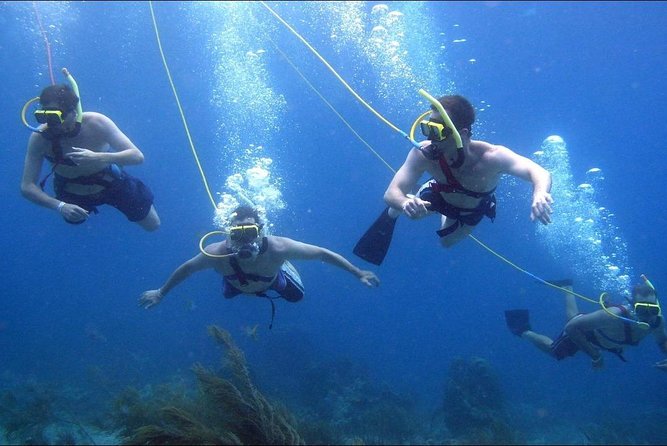 Platinum Power Shore Adventure, Hookah Diving, and Snorkeling - Returning to shore and back to your hotel