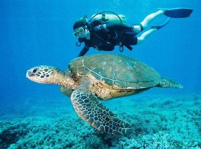 Playa del Carmen: Cenote Diving for Certified Divers - The briefing and first underwater route