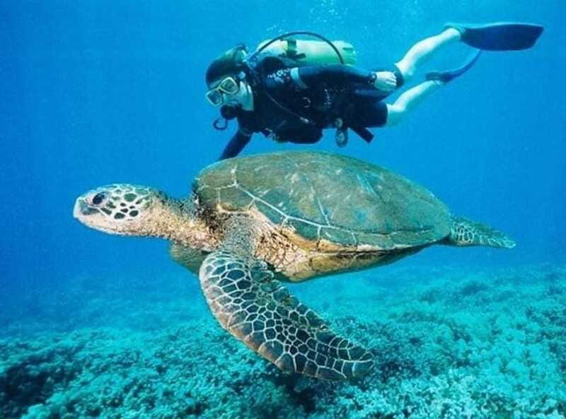 Playa del Carmen: Cenote Diving for Certified Divers - Booking flexibility and final practical advice
