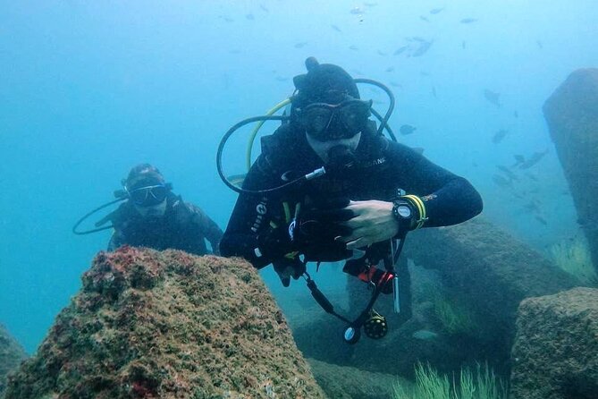 Pleasure Scuba Diving in Fujairah for Certified Diver - Quick facts worth knowing
